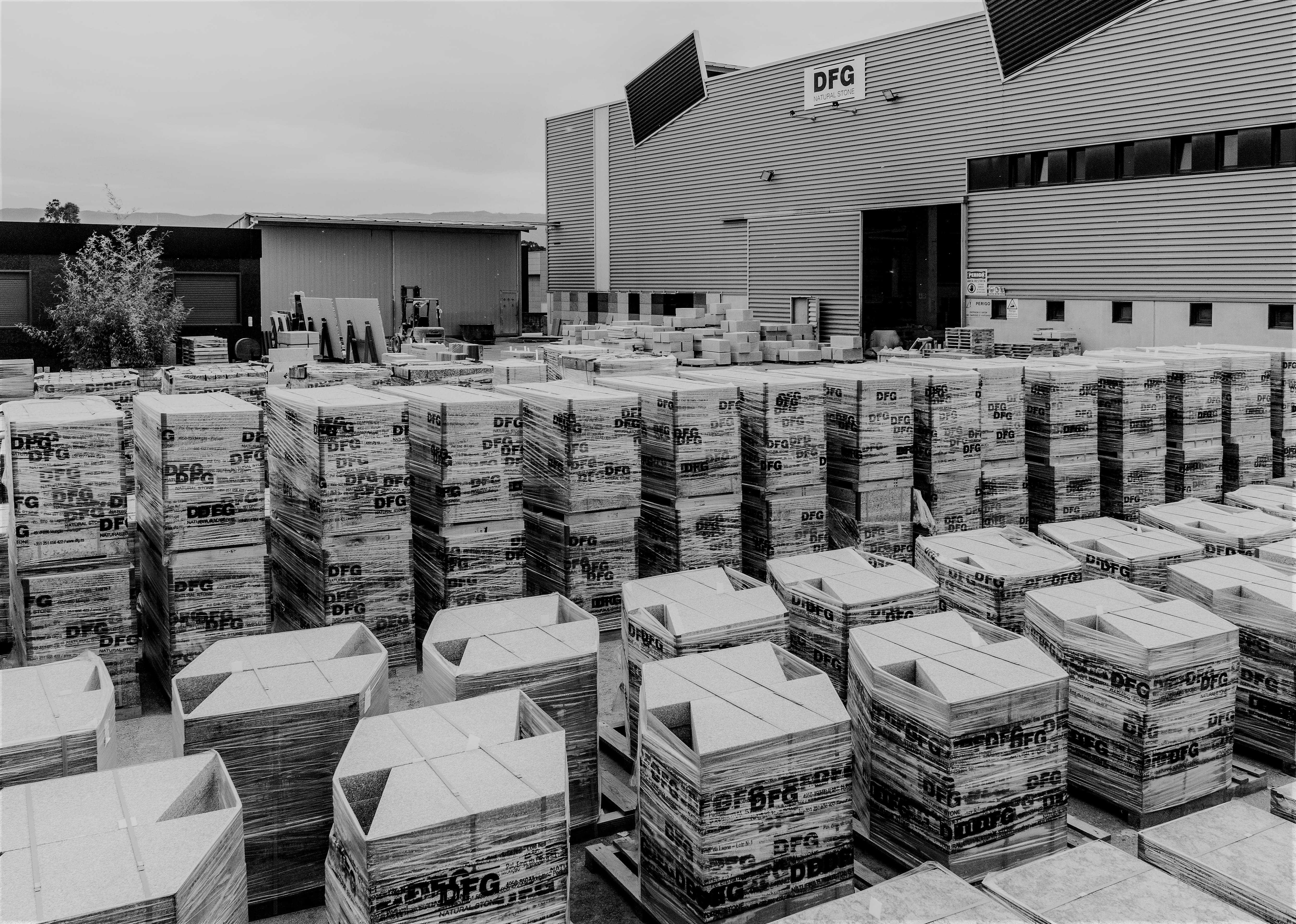 DFG projects factory