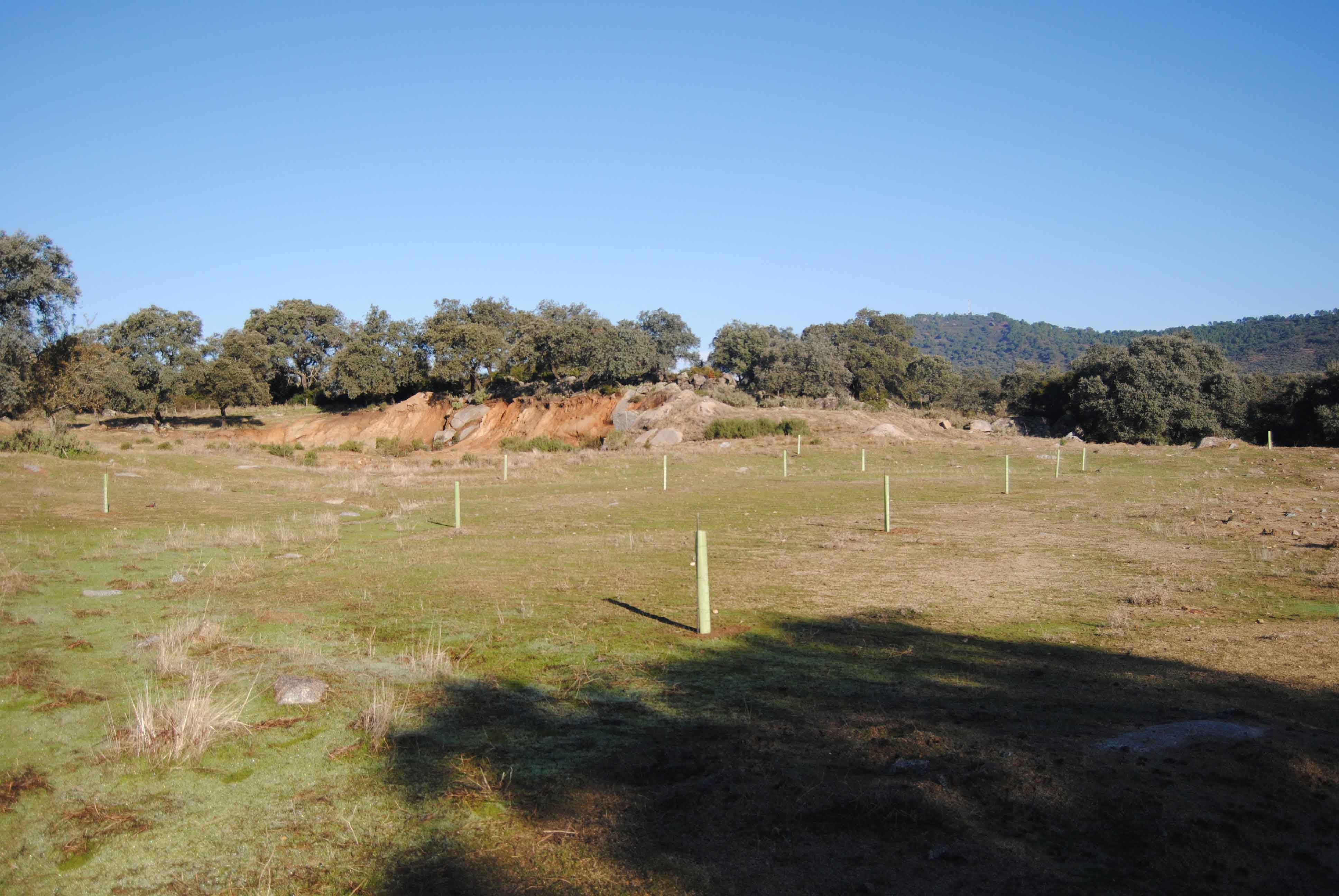 Restauración paisajística de cantera
