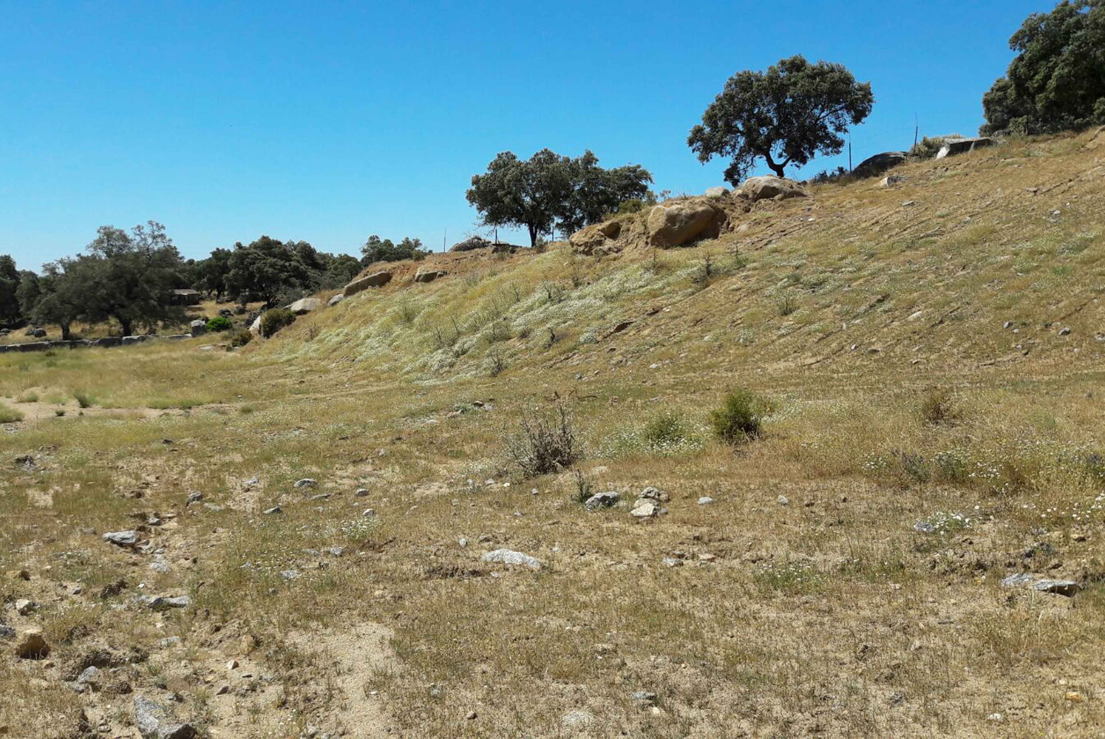 Restauración paisajística de cantera